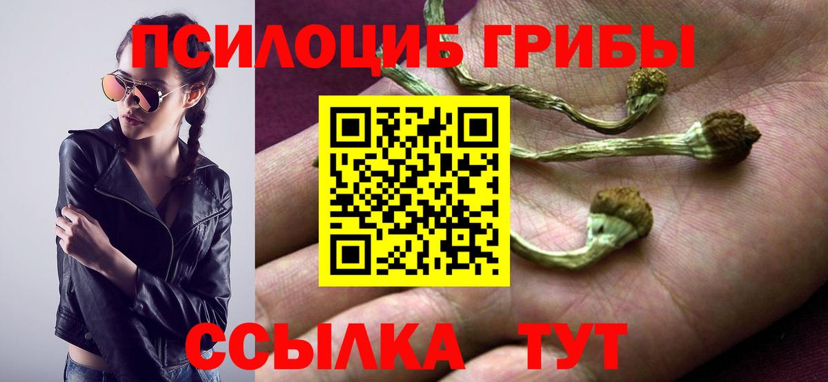 Псилоцибиновые грибы GOLDEN TEACHER Заволжье